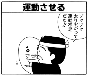 【無料漫画】毎日配信！少年アシベ（44）「汚れなき瞳」森下裕美／キュートなゴマフアザラシの“ゴマちゃん”をめぐる名作ギャグ4コマ 18