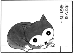 【無料漫画】毎日配信！少年アシベ（22）「恋の季節」森下裕美／キュートなゴマフアザラシの“ゴマちゃん”をめぐる名作ギャグ4コマ 3