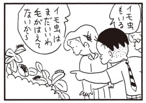イモ虫もいる イモ虫はまだいいわ毛がはえてないから