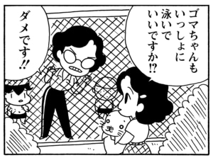 ゴマちゃんもいっしょに泳いでいいですか!? ダメです!!