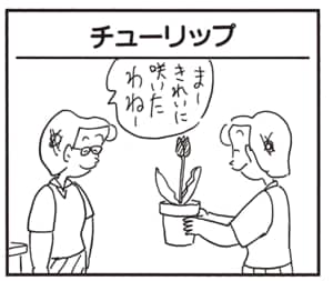 まーきれいに咲いたわねー