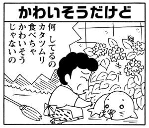 【無料漫画】毎日配信！少年アシベ（107）「社長のお願い」森下裕美／キュートなゴマフアザラシの“ゴマちゃん”をめぐる名作ギャグ4コマ 6