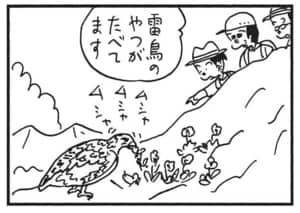 【無料漫画】かりあげクン（1691回）毎日配信！「お茶」「高山植物」いつもと違う出口の先にあったのは？／植田まさし 8