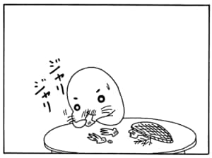 【無料漫画】毎日配信!少年アシベ(126)「今夜はごちそう」森下裕美/キュートなゴマフアザラシの“ゴマちゃん”をめぐる名作ギャグ4コマ 11