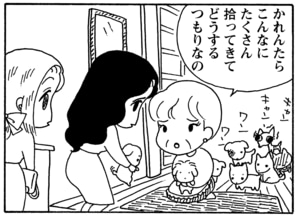 【無料漫画】毎日配信！少年アシベ（45）「新しい二人」森下裕美／キュートなゴマフアザラシの“ゴマちゃん”をめぐる名作ギャグ4コマ 23