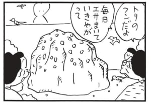 トリのフンだよ　毎日エサまいていきやがって