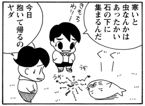 【無料漫画】毎日配信！少年アシベ（81）「愛の家族」森下裕美／キュートなゴマフアザラシの“ゴマちゃん”をめぐる名作ギャグ4コマ 17