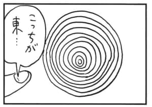 こっちが東…