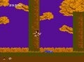 ファミコン『影の伝説』35周年「何度もさらわれる姫」「シュールな忍術」に大興奮した記憶の画像007