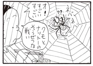 オ!すごいすごい クモとナットーのそうぜつな戦い