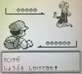 シオンタウンから続く伝統？『ポケモン』シリーズでチビっ子を震え上がらせた「ホラーイベント」フワンテといる少女や怪現象にゾクッの画像003