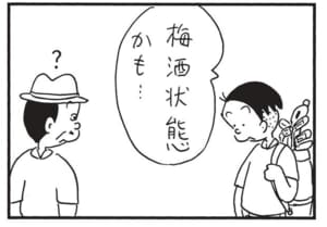 梅酒状態かも…
