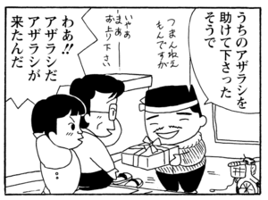 【無料漫画】毎日配信!少年アシベ(186)同級生と久々の再会「同窓会」キュートな“ゴマちゃん”をめぐる名作4コマ/森下裕美 25