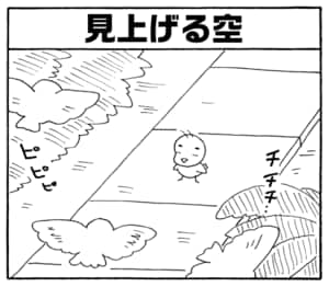 【無料漫画】毎日配信！少年アシベ（231）うっかり踏みつぶしそうに…「ギーコの目的」キュートな“ゴマちゃん”をめぐる名作4コマ／森下裕美 6