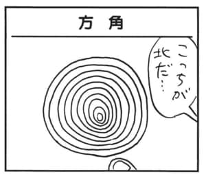 こっちが北だ…
