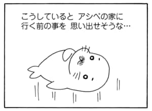 【無料漫画】毎日配信！少年アシベ（189）みんなでスケート「氷の幻」キュートな“ゴマちゃん”をめぐる名作4コマ／森下裕美 15