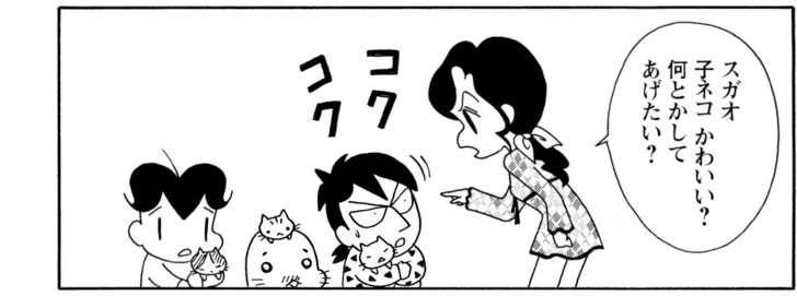 スガオ子ネコかわいい?何とかしてあげたい?