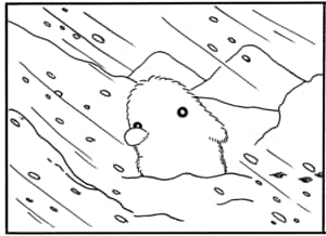 【無料漫画】毎日配信！少年アシベ（53）「あやしい人々」森下裕美／キュートなゴマフアザラシの“ゴマちゃん”をめぐる名作ギャグ4コマ 4