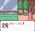 任天堂ゲームボーイ時代の神キャラゲー『とっとこハム太郎２ ハムちゃんず大集合でちゅ』21周年で振り返る「ハム語」のかわいさの画像004