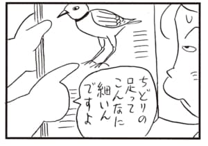 ちどりの足ってこんなに細いんですよ