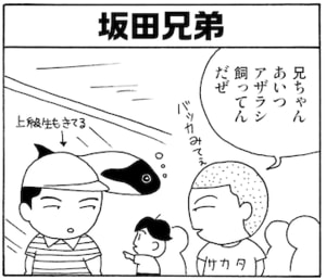 【無料漫画】毎日配信！少年アシベ（11）「その後の状況」森下裕美 6