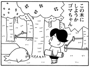 【無料漫画】毎日配信！少年アシベ（46）「さくら・さくら・咲く」森下裕美／キュートなゴマフアザラシの“ゴマちゃん”をめぐる名作ギャグ4コマ 15