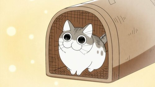 『夜は猫といっしょ』