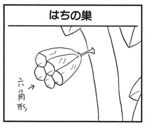 【無料漫画】かりあげクン（2118回）毎日2回配信！「はちの巣」巣の形を見て思いついたこと／植田まさし 1