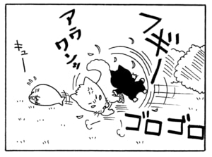 【無料漫画】毎日配信！少年アシベ（208）日記の内容をのぞき見…!?「アッキーの秘密」キュートな“ゴマちゃん”をめぐる名作4コマ／森下裕美 13