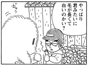 【無料漫画】毎日配信!少年アシベ(131)「パパとママ」森下裕美/キュートなゴマフアザラシの“ゴマちゃん”をめぐる名作ギャグ4コマ 15