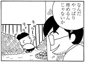 【無料漫画】毎日配信！少年アシベ（56）「山本兄弟の失態」森下裕美／キュートなゴマフアザラシの“ゴマちゃん”をめぐる名作ギャグ4コマ 11