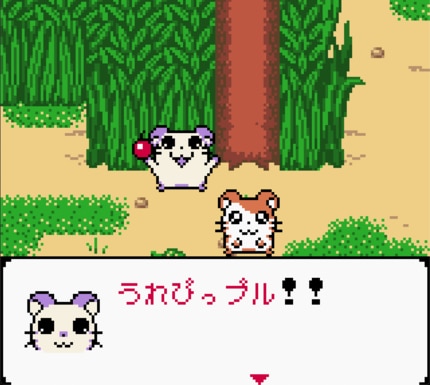 2ページ目) 任天堂ゲームボーイ時代の神キャラゲー『とっとこハム太郎