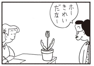 ホーきれいだなー