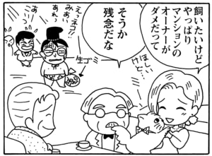 【無料漫画】毎日配信!少年アシベ(40)「悲しいでき事」森下裕美/キュートなゴマフアザラシの“ゴマちゃん”をめぐる名作ギャグ4コマ 21