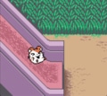 任天堂ゲームボーイ時代の神キャラゲー『とっとこハム太郎２ ハムちゃんず大集合でちゅ』21周年で振り返る「ハム語」のかわいさの画像022
