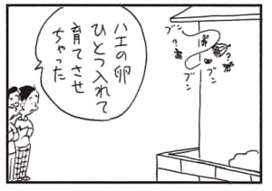 ハエの卵ひとつ入れて育てさせちゃった