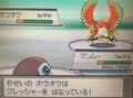 中古はプレミア価格、伝説の改変シーン…ポケモン『ハートゴールド・ソウルシルバー』が“最高のリメイク”と絶賛されるワケの画像002