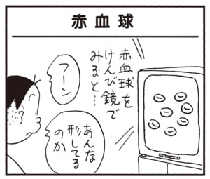 フーン　あんな形してるのか