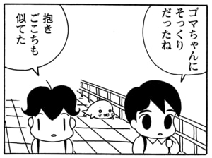 【無料漫画】毎日配信！少年アシベ（94）「ゴマちゃんの災難」森下裕美／キュートなゴマフアザラシの“ゴマちゃん”をめぐる名作ギャグ4コマ 13