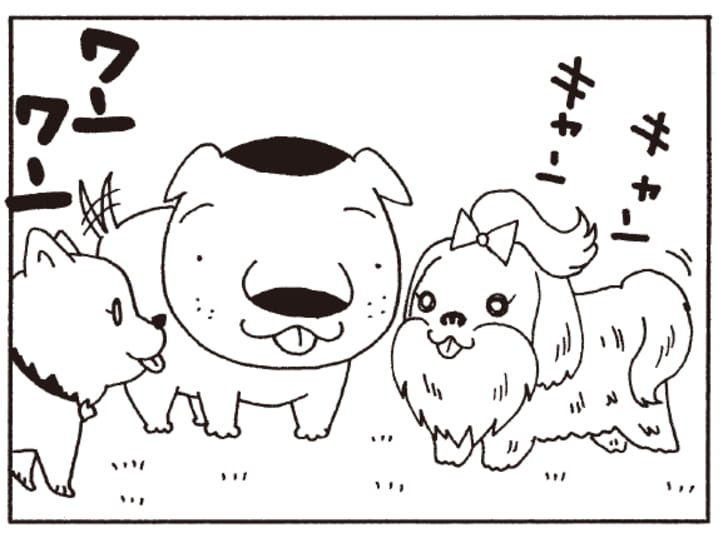 【無料漫画】ここだけのふたり！（366回）愛犬とのお散歩で出会いが広がるはず！／森下裕美の画像