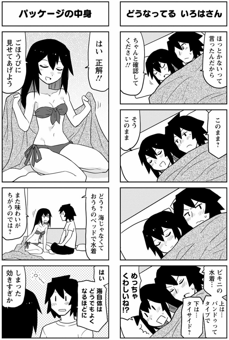 新婚 の いろは さん