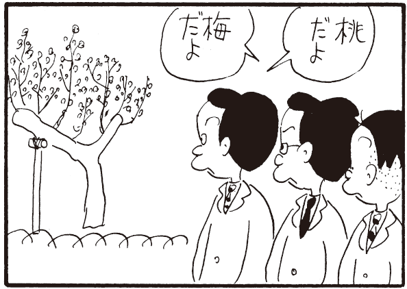 桃だよ 梅だよ