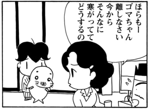 【無料漫画】毎日配信!少年アシベ(77)「それぞれの秋」森下裕美/キュートなゴマフアザラシの“ゴマちゃん”をめぐる名作ギャグ4コマ 19