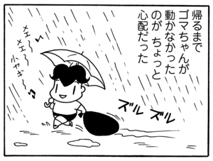 【無料漫画】毎日配信！少年アシベ（103）「雨の日は…」森下裕美／キュートなゴマフアザラシの“ゴマちゃん”をめぐる名作ギャグ4コマ 9