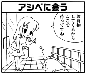 【無料漫画】毎日配信！少年アシベ（94）「ゴマちゃんの災難」森下裕美／キュートなゴマフアザラシの“ゴマちゃん”をめぐる名作ギャグ4コマ 10
