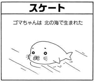 【無料漫画】毎日配信！少年アシベ（141）「朝からスケート」森下裕美／キュートなゴマフアザラシの“ゴマちゃん”をめぐる名作ギャグ4コマ 10