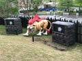 ついにグランドオープン！淡路島でゾーマ討伐「ドラゴンクエストアイランド」に行ってきた!!!の画像007