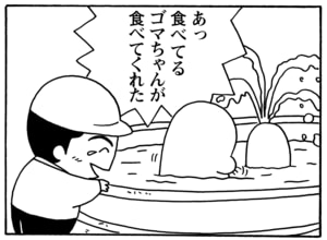 【無料漫画】毎日配信！少年アシベ（90）「今年のバレンタイン」森下裕美／キュートなゴマフアザラシの“ゴマちゃん”をめぐる名作ギャグ4コマ 20