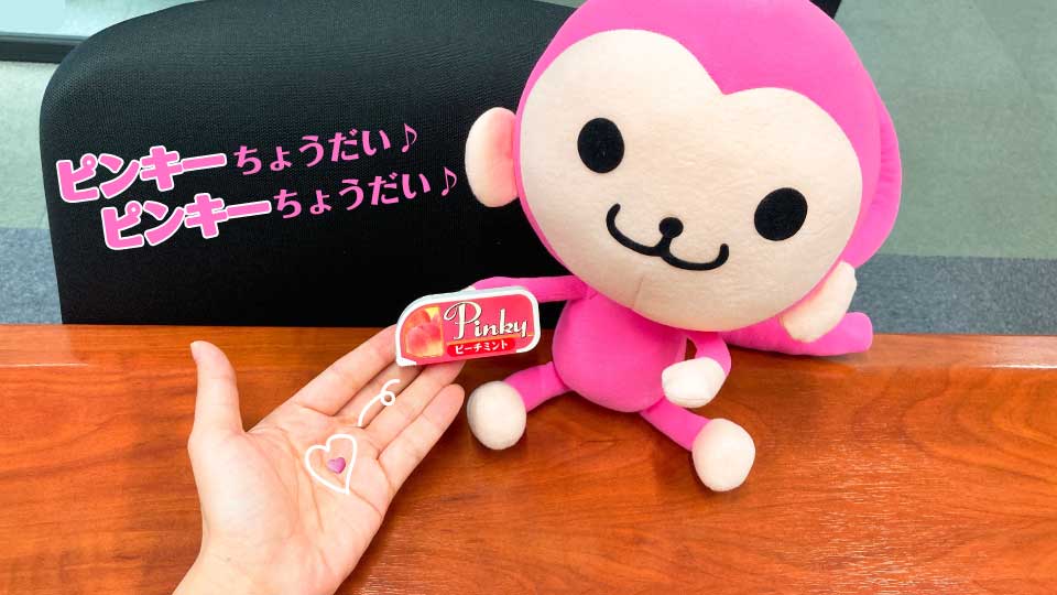 ぬ～ぼ～」「ピンキー」「生茶パンダ」…子どもも女子高生もトリコに