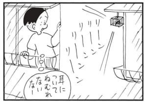【無料漫画】かりあげクン(1685回)毎日配信!「梨」「敬老の日」高級なフルーツかと思いきや/植田まさし 14
